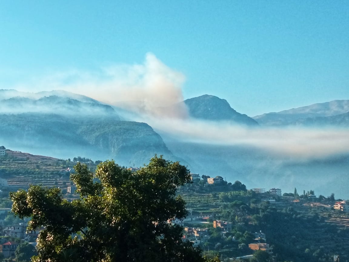 بالصور والفيديو - الحرائق في غابات وادي جهنم تخطت الـ50 هكتارا